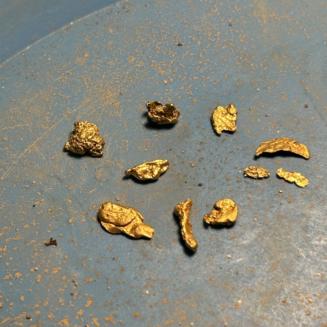 AMERICAS MOTHERLODE GOLD PAYDIRT
