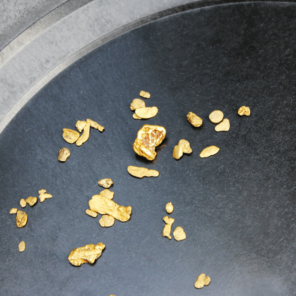 AMERICAS MOTHERLODE GOLD PAYDIRT