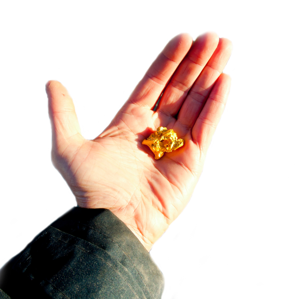 MOTHERLODE CREEK PAYDIRT