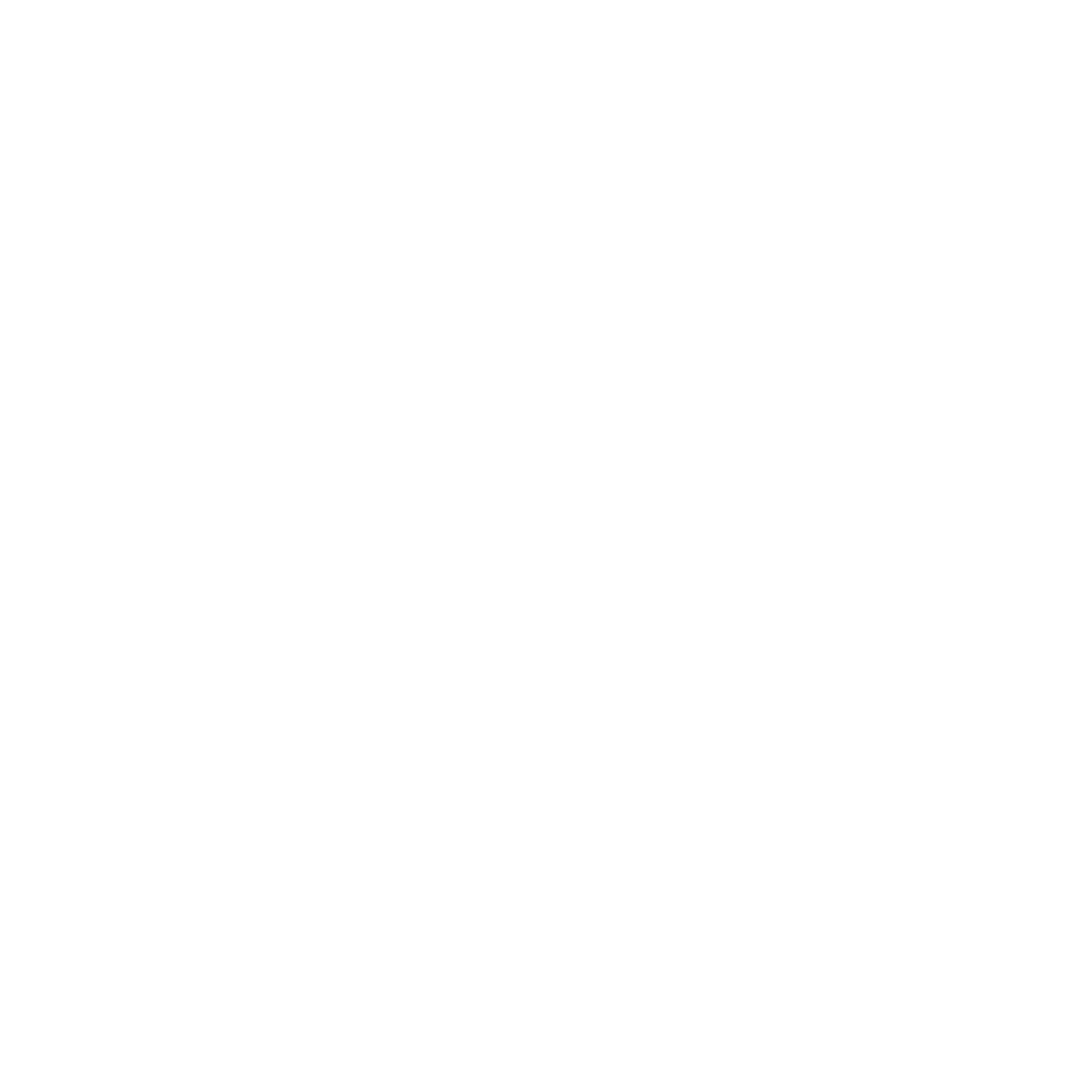 Motherlode Mining
